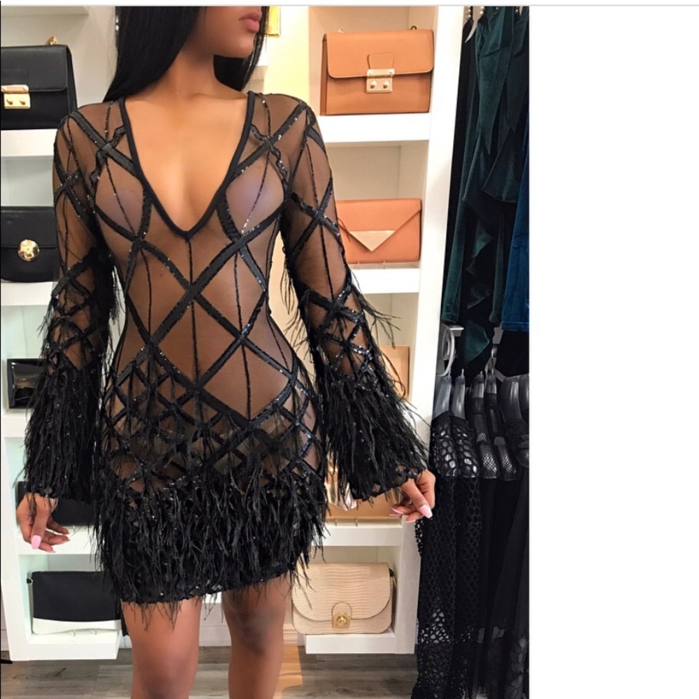 See through feather dress. PERFECT birthday dress